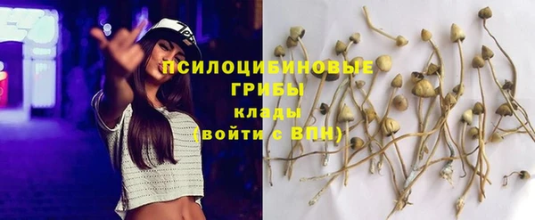 амф Володарск