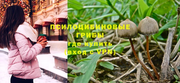 амф Володарск